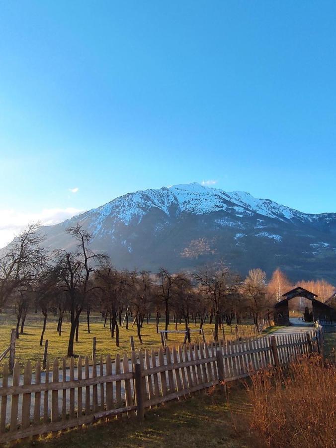 Bed and Breakfast Visitor Yard Плав Экстерьер фото