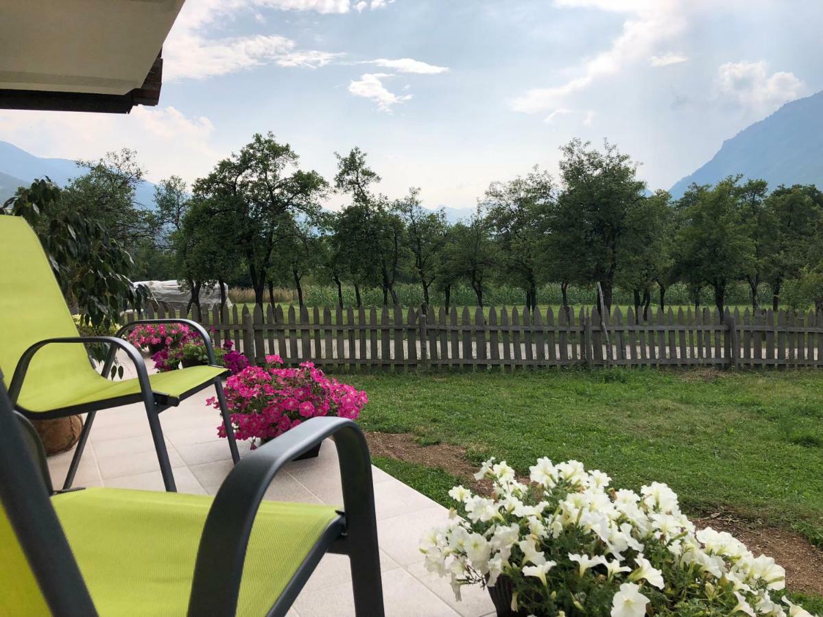 Bed and Breakfast Visitor Yard Плав Экстерьер фото